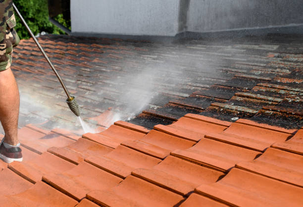 Best Local Pressure Washing Services  in Kodi Station, AK